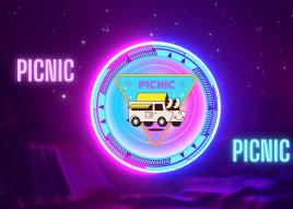 Picnic Corporation